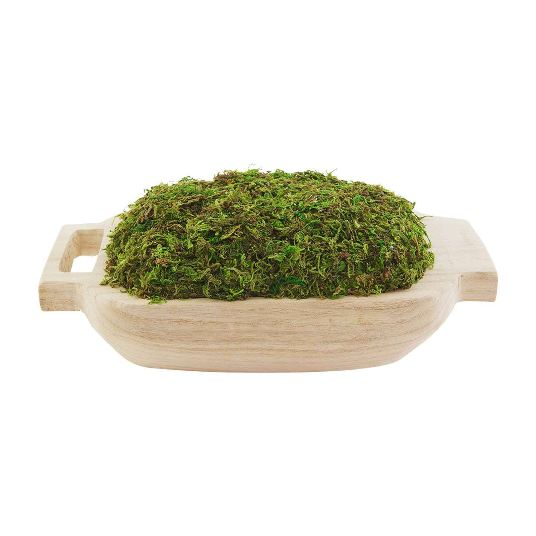 Mossed Tray with Handles