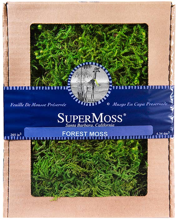 Forest Moss Preserve - Bloom and Petal