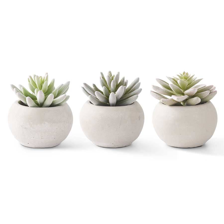 Faux Lotus Succulents