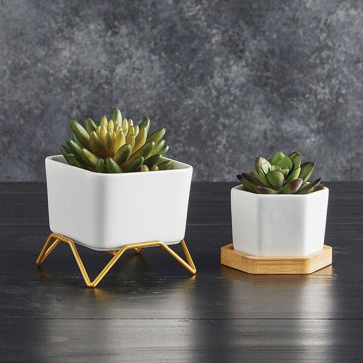 Square Pot with Stand - Bloom and Petal