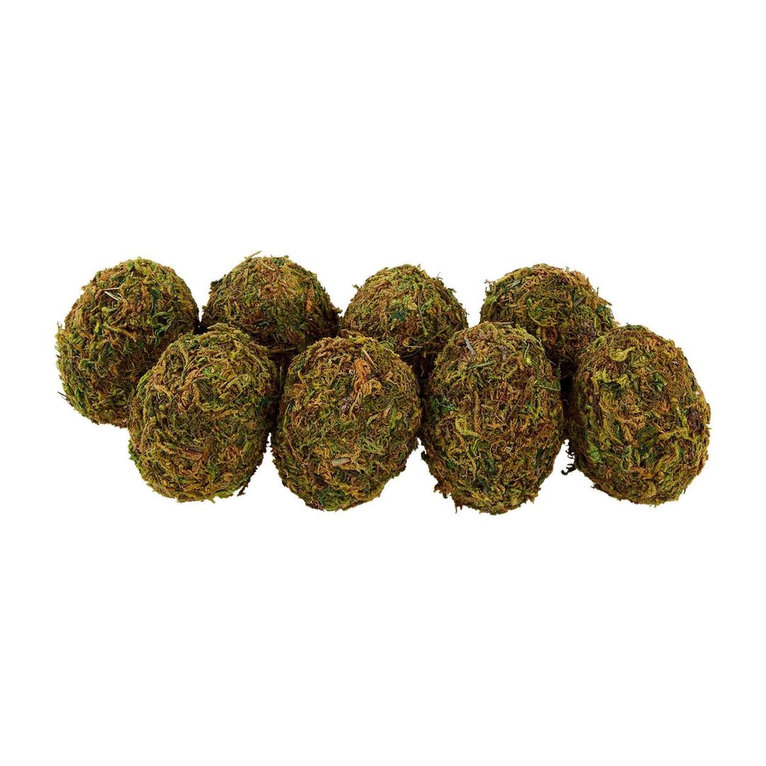 Preserved Moss Egg Filler Set of 6