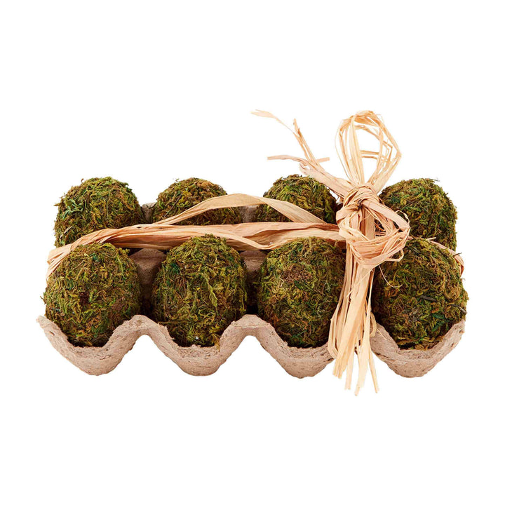 Preserved Moss Egg Filler Set of 6