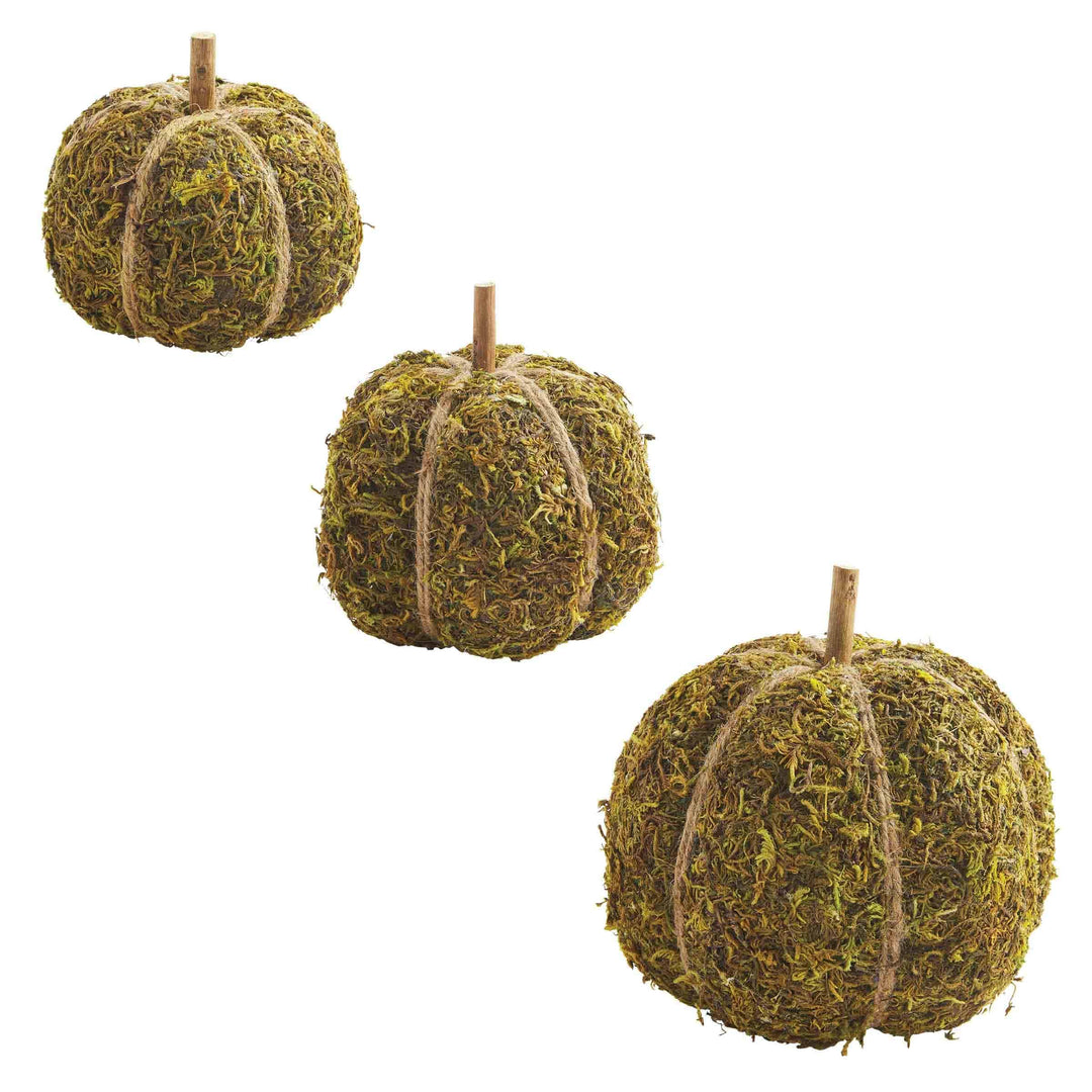 Preserved Moss Pumpkins