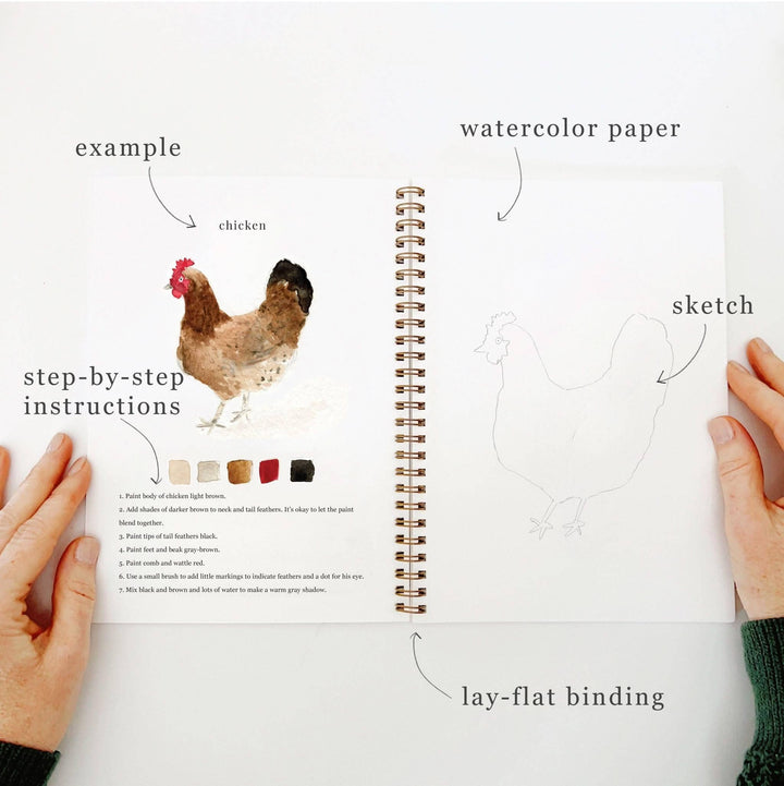 Animals watercolor workbook by Emily Lex