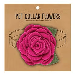 Small Pet Collar Flower - Magenta