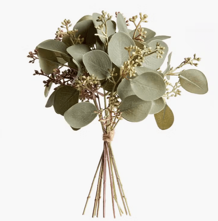 Silver Dollar Eucalyptus Bundle