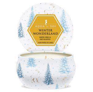 Winter Wonderland Candle 4oz Petite Aqua De Soi Tin