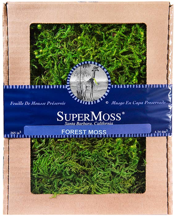 Forest Moss Preserve