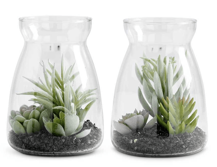 Succulents In Glass Jars (2 Styles)