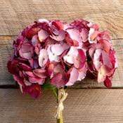 Maroon Hydrangea Bundle