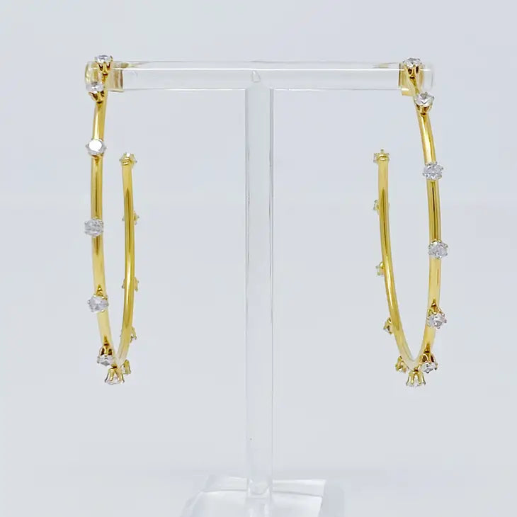 Slim & Jeweled Hoop Earrings - Bloom and Petal