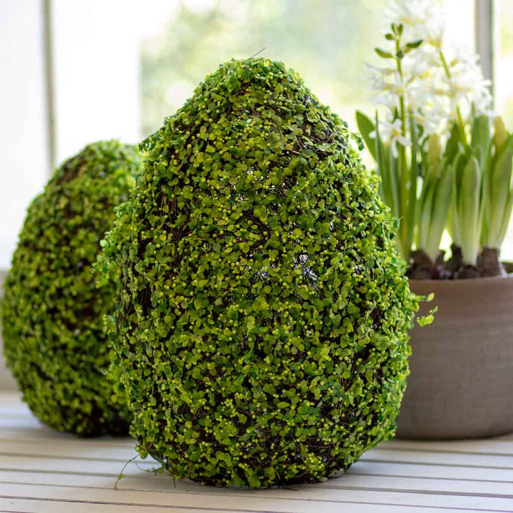 Belmont Egg Decor   Green/Brown   9.8x15 - Bloom and Petal