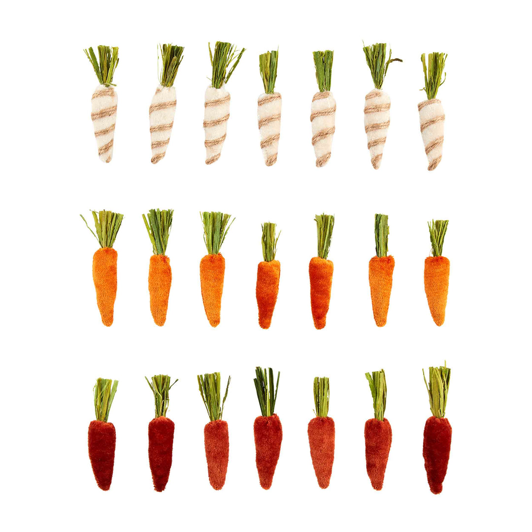 Mini Velvet Carrots - Bloom and Petal