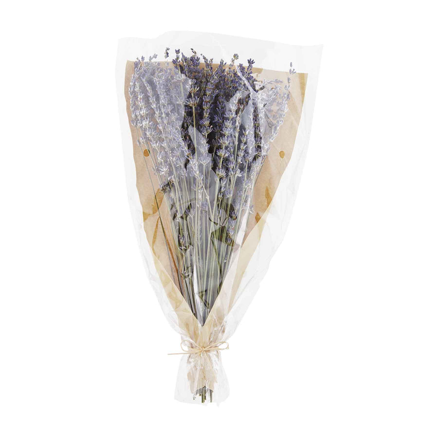 Preserved Lavender Bunch - Bloom and Petal