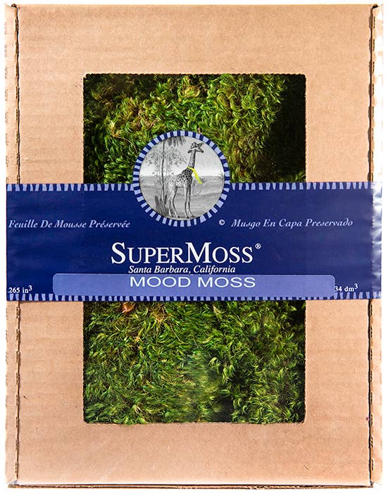 Mood Moss Preserved - Bloom and Petal
