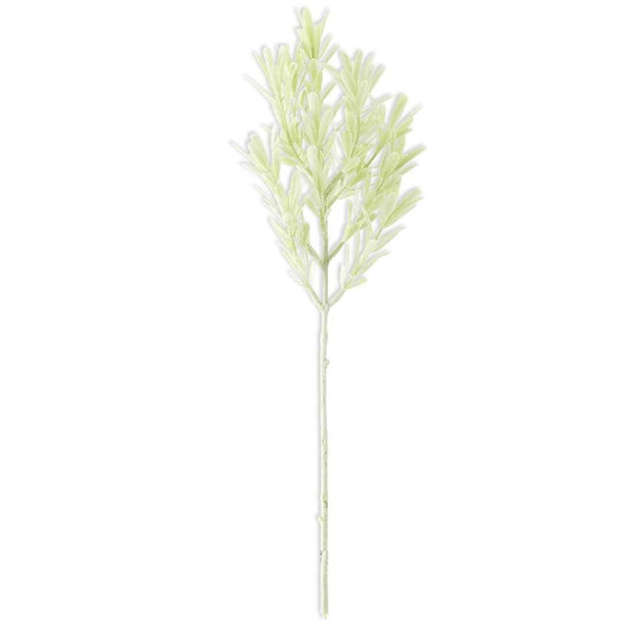Bloom and Petal Silk Green Dusty Miller Stem w/ Thin Leaves