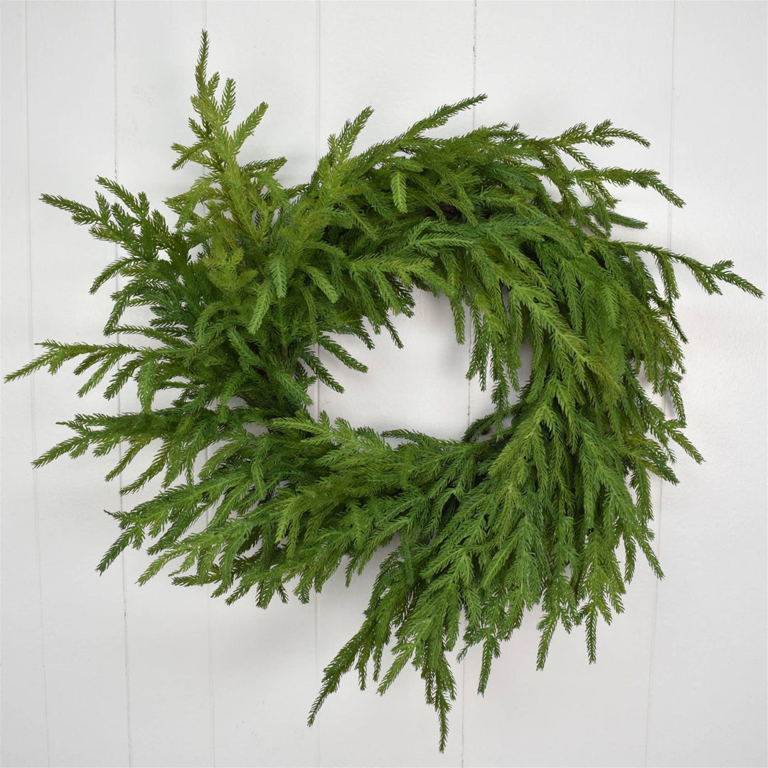 24” Natural Touch Granch Norfolk Pine Wreath