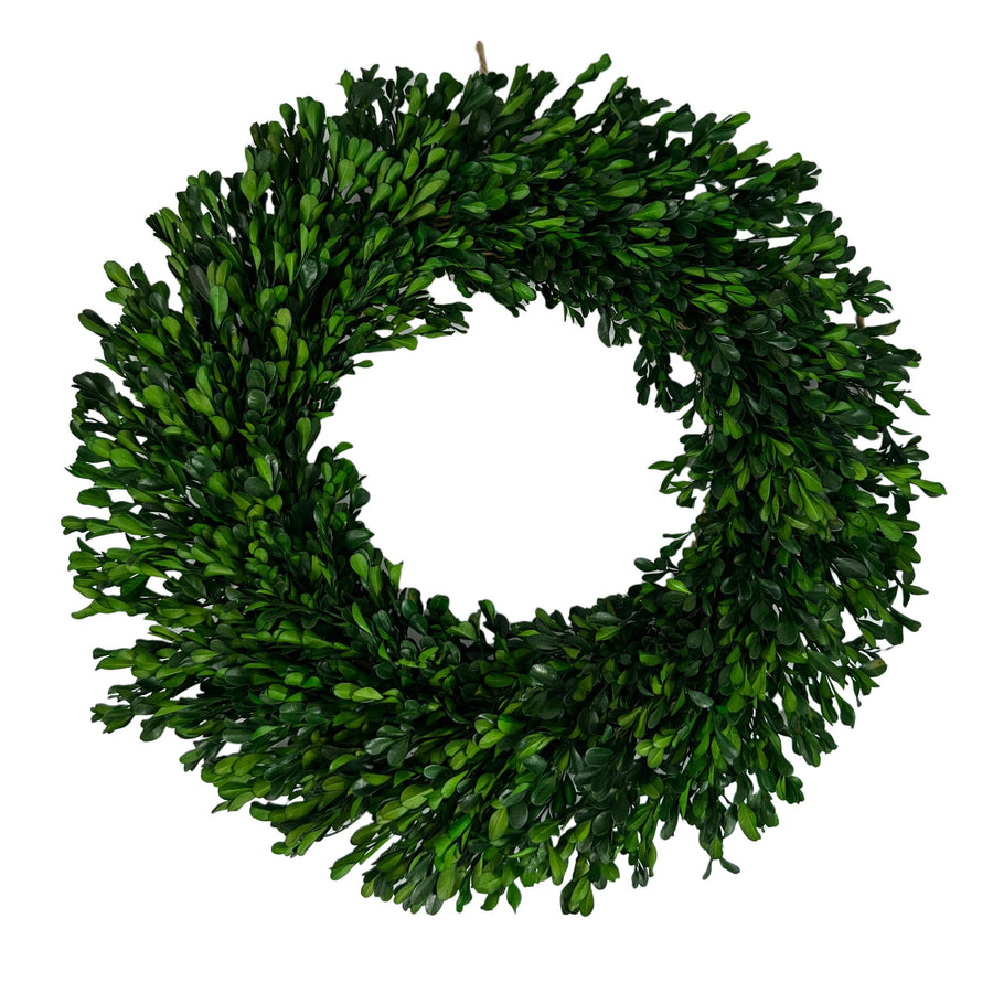 Preserved Boxwood Wreath 21" - Bloom and Petal