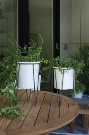 Cassa Plant Stand - Bloom and Petal