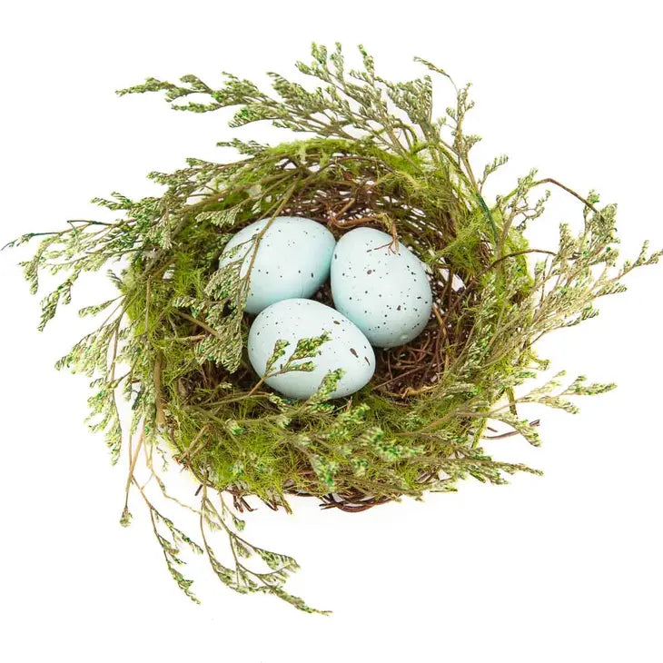 Robin Eggs Nest with Eggs - Bloom and Petal