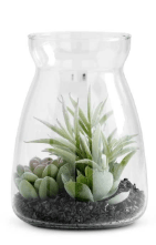 K&K Silk 15313A Succulents In Glass Jars (2 Styles)