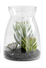 K&K Silk 15313B Succulents In Glass Jars (2 Styles)