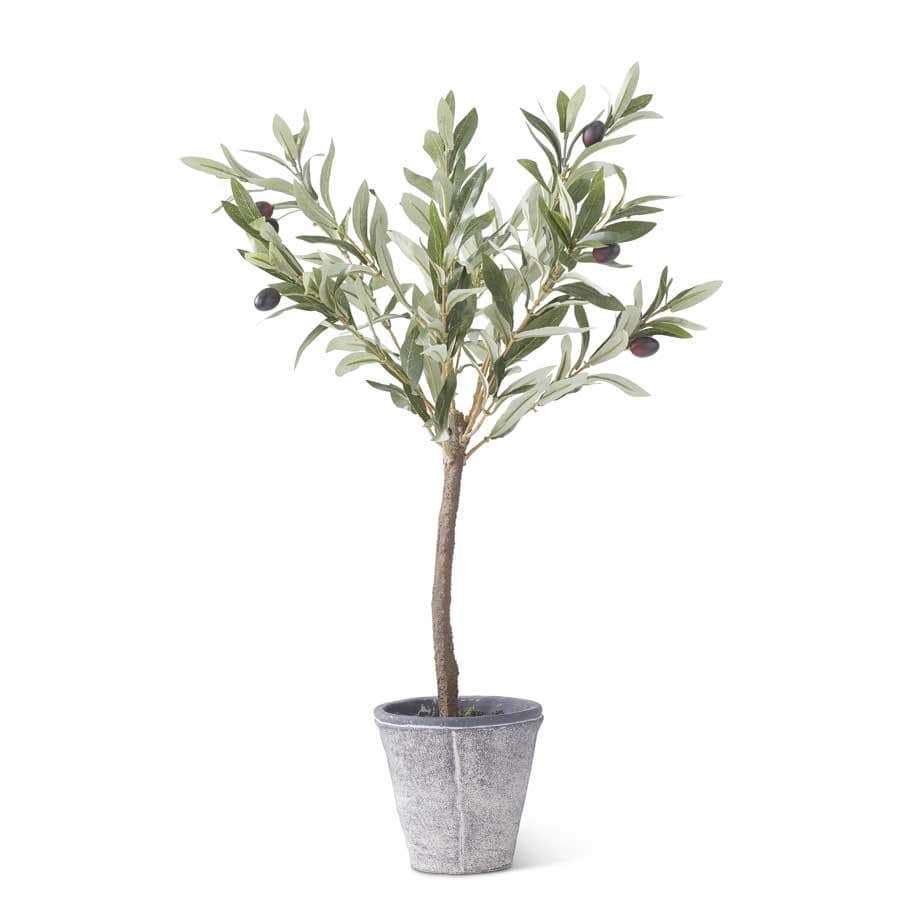 K&K Silk Olive Tree w/Gray Wash Pot 24"H x 13"W