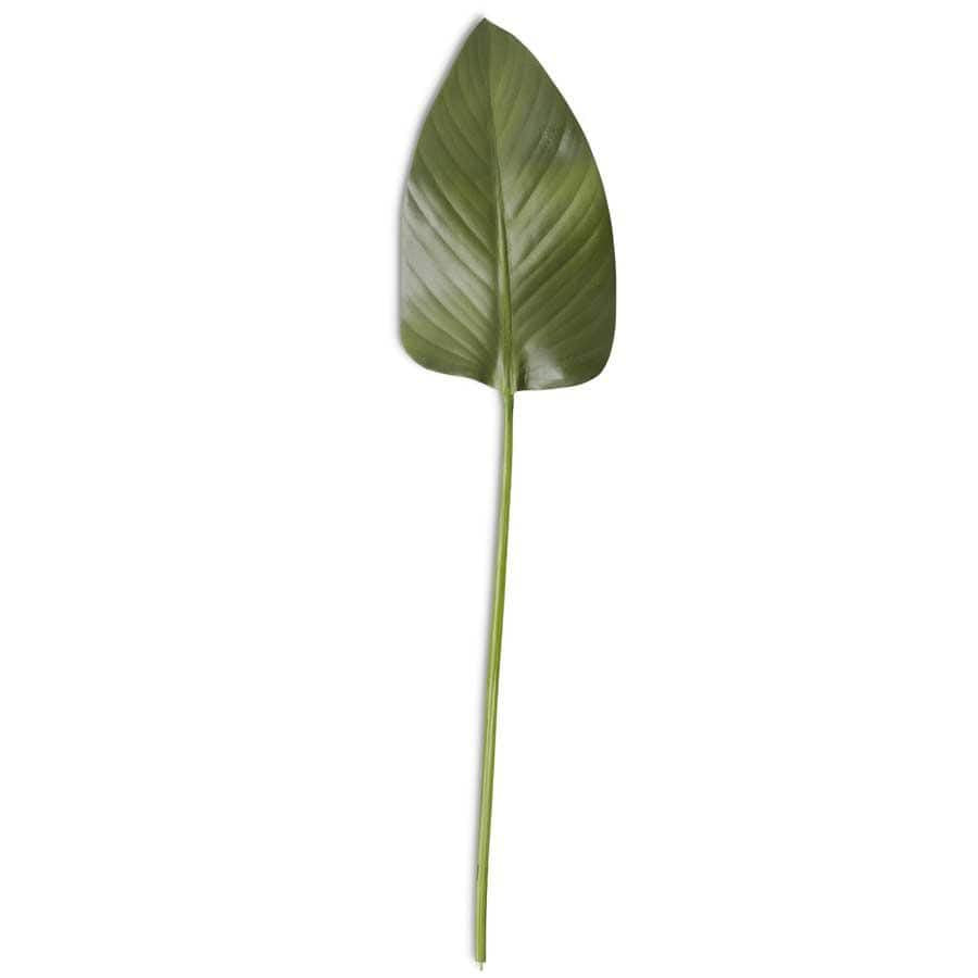 K&K Silk Rubber Fig Leaf Stem