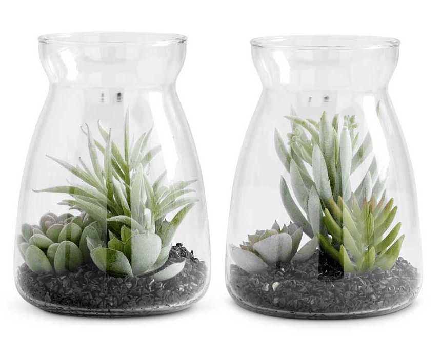 K&K Silk Succulents In Glass Jars (2 Styles)