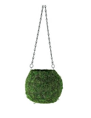 Syndicate Mossed Hanging Pot